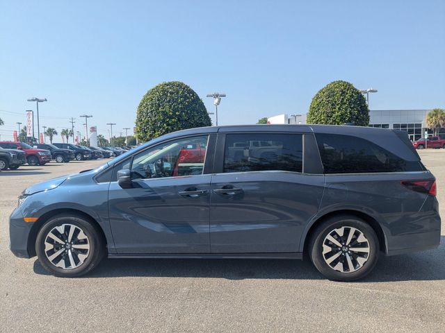 2025 Honda Odyssey EX-L Gray at Stokes Honda North