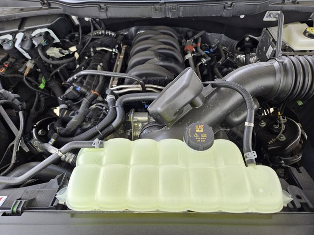 2025 White Ford F-150 XLT 4X4 Truck