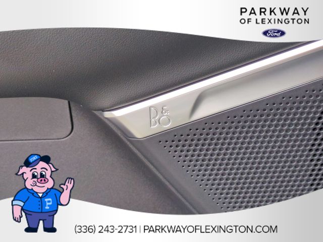 New 2026 White Ford Platinum image 13