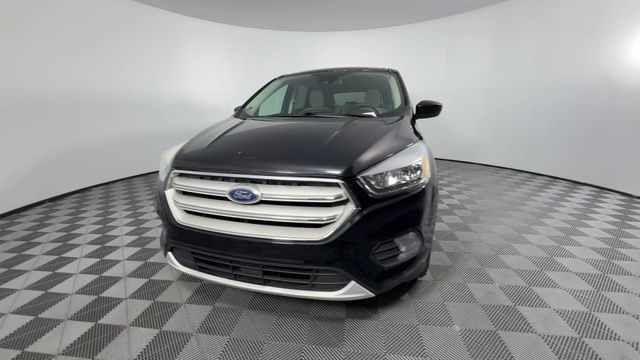 Used 2019 Ford Escape For Sale in Indianapolis, IN