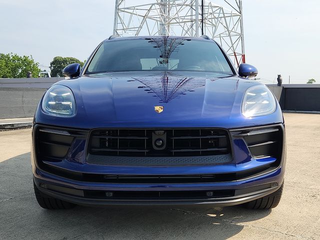 Macan
