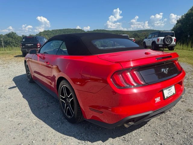 Used 2022 Red Ford EcoBoost Premium image 5