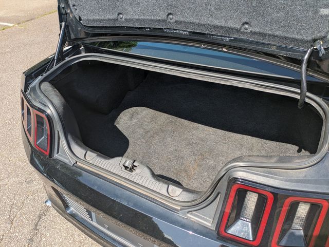 2014 Ford Mustang V6 photo