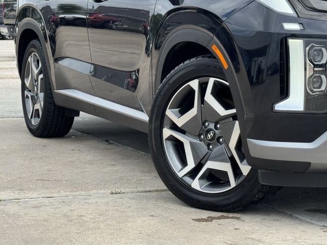 2024 Hyundai Palisade Limited - 10
