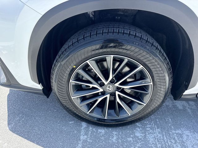 Used 2025 Lexus NX SUV