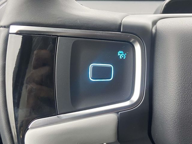 New 2025 White Ford Platinum image 17