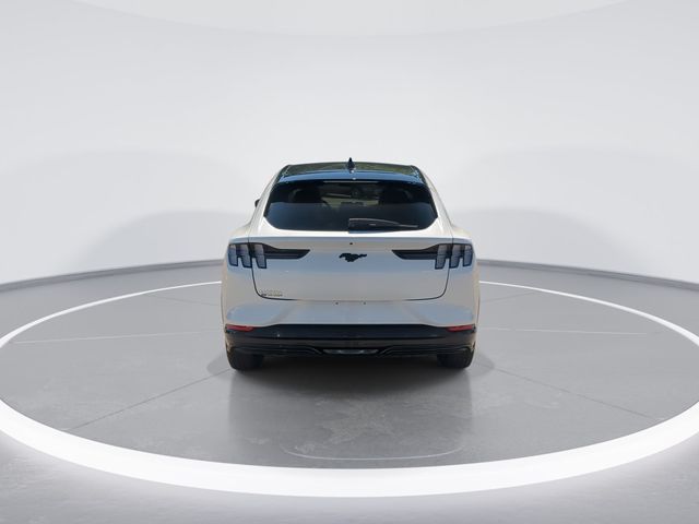 Used 2023 White Ford Premium image 7