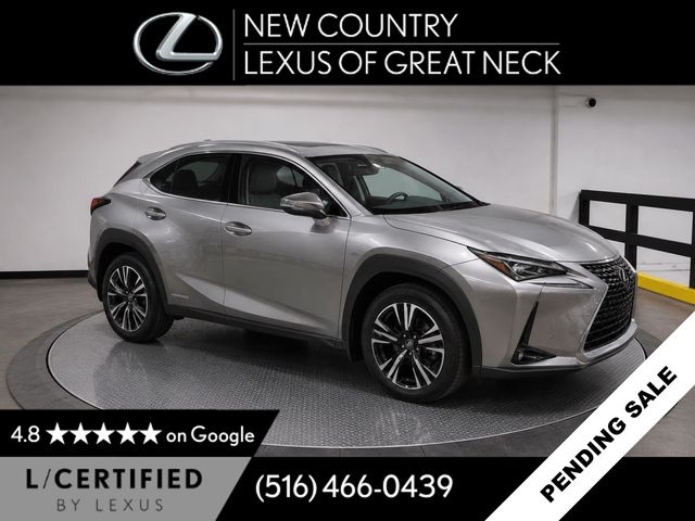 2020 Lexus UX Hybrid 250h AWD