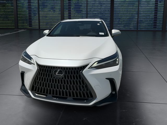 Used 2025 Lexus NX SUV