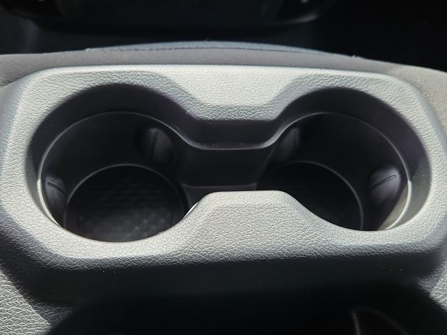 New 2026 Blue Ram Big Horn/Lone Star image 15