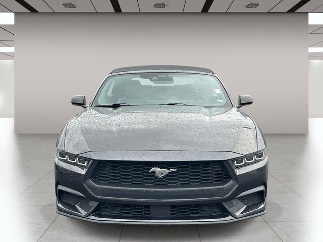 Used 2024 Gray Ford EcoBoost Premium image 9