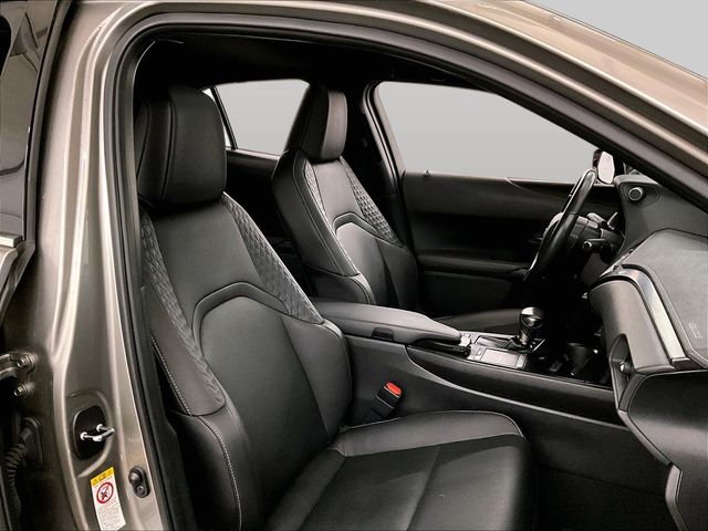 2019 Lexus UX 250h Base - 6