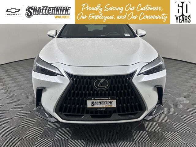 Used 2025 Lexus NX SUV
