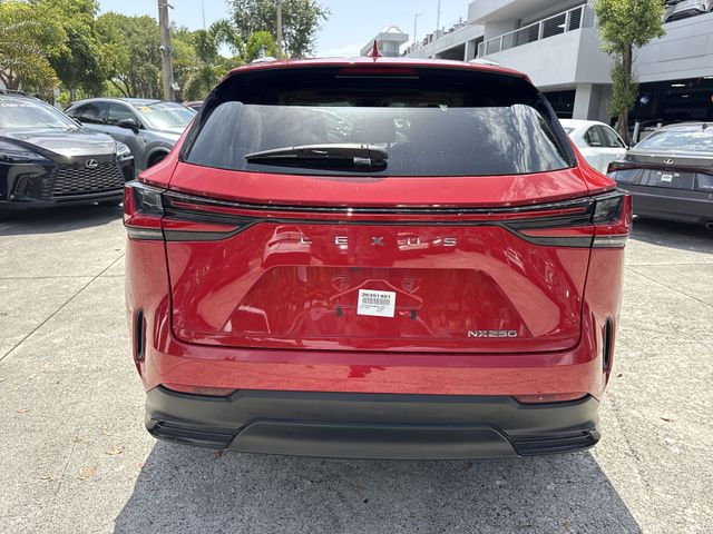 Used 2024 Lexus NX SUV
