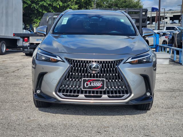 2024 Lexus NX 250 Premium - 1