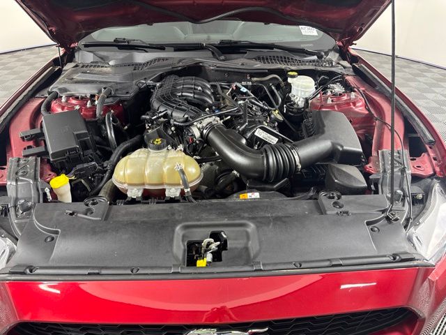 Used 2016 Ford Mustang Coupe