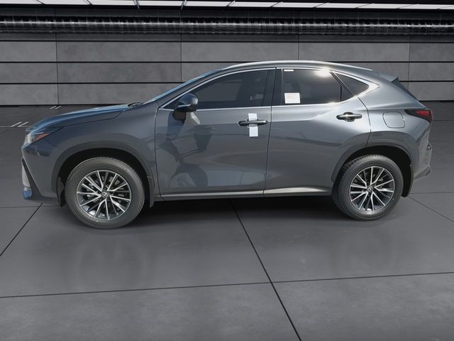 2025 Lexus NX - $39,998