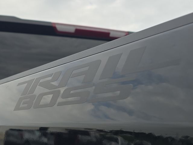 2025 Chevrolet Silverado 1500 Custom Trail Boss:169618A