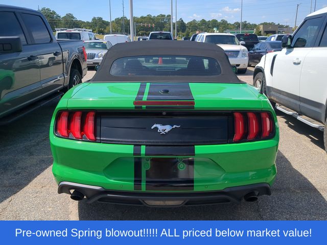 Used 2019 Green Ford EcoBoost Premium image 3