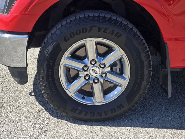 Used 2023 Ford F-150 Truck