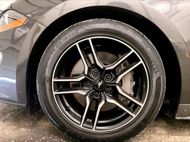 2020 Ford Mustang GT Premium Gray at Bob Ruth Ford