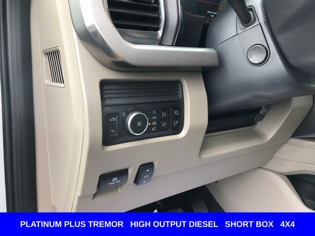 New 2026 Gray Ford Platinum image 8