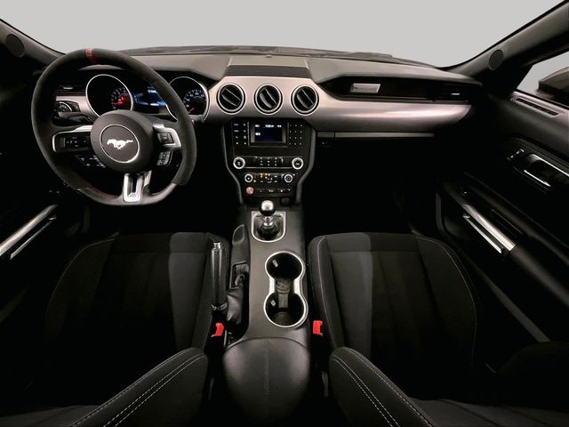 2019 Ford Mustang GT Gray at Grove City Ford
