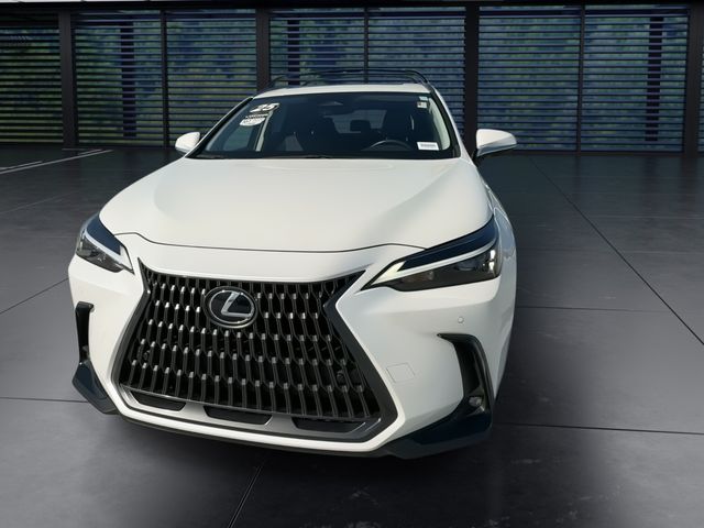 2025 Lexus NX - $47,998
