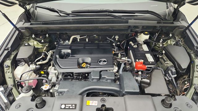 2023 Lexus NX 250 Premium Green at DeMontrond Auto Country