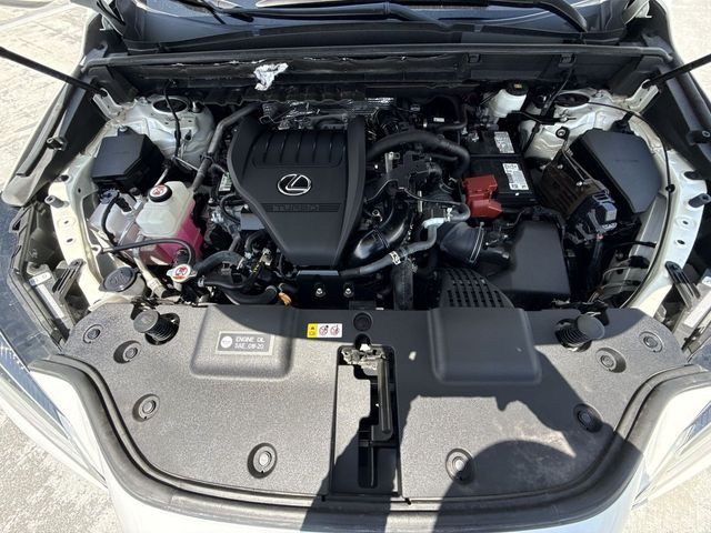 Used 2024 Lexus NX SUV