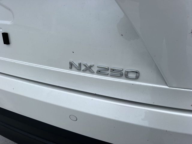 Used 2025 Lexus NX SUV
