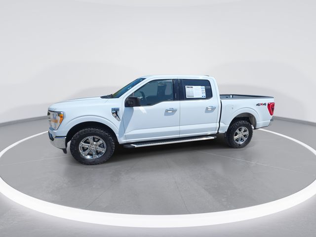 Used 2023 White Ford XLT image 4