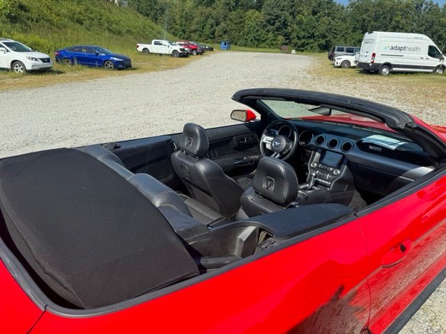 Used 2022 Red Ford EcoBoost Premium image 14