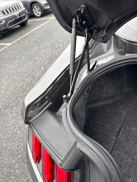 2019 Ford Mustang GT Gray at Grove City Ford