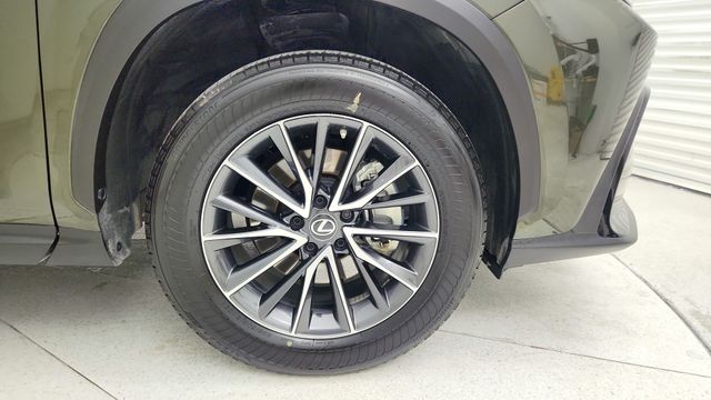 2023 Lexus NX 250 Premium Green at DeMontrond Auto Country