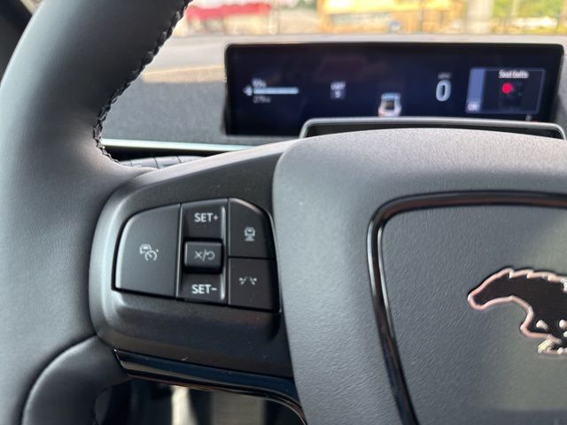 New 2025 White Ford Premium image 33