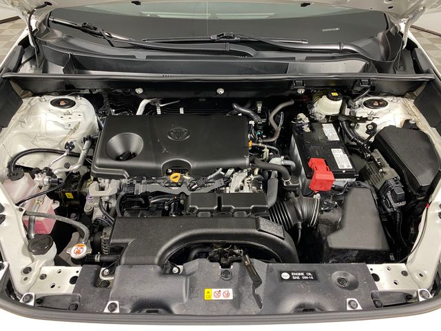 2021 Toyota RAV4 LE photo