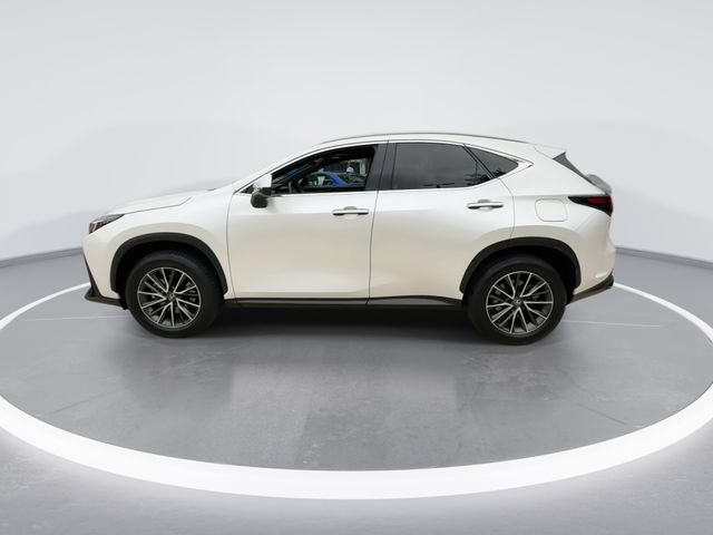2025 Lexus NX - $44,998
