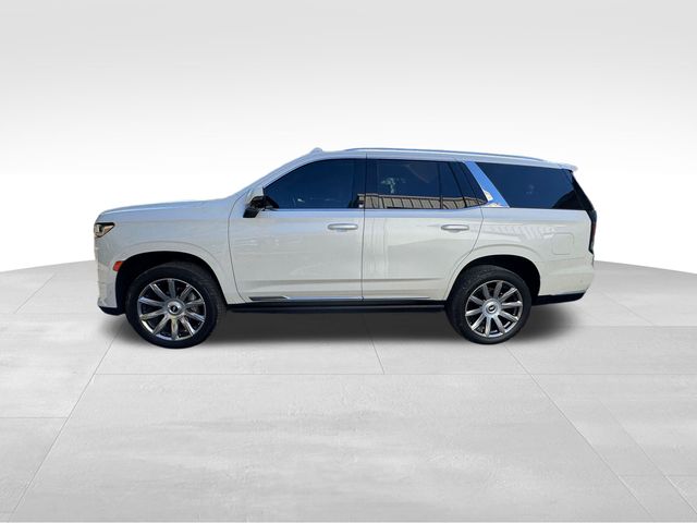 2021 Cadillac Escalade Premium Luxury Platinum 6