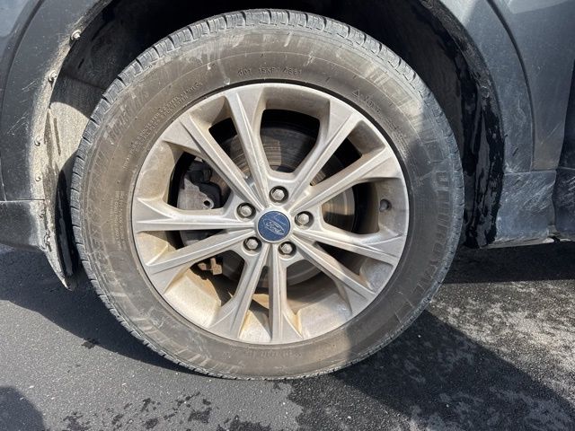 2019 Ford Escape SE photo