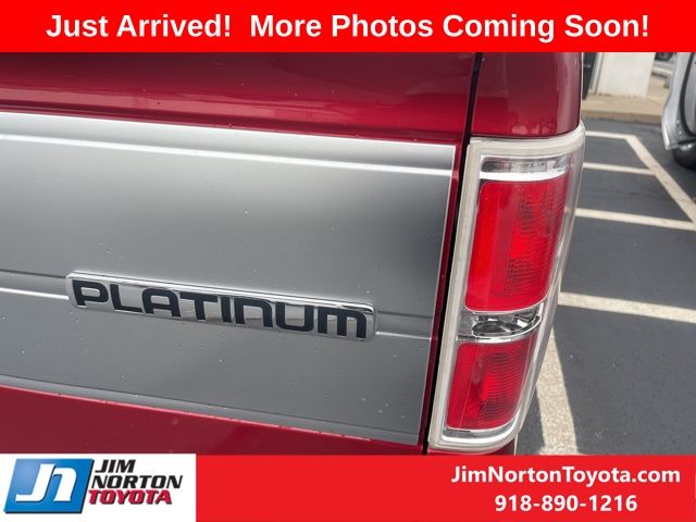 2014 Ford F-150 Platinum 8