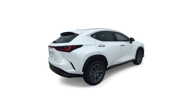 Used 2025 Lexus NX SUV