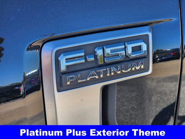 2024 Ford F-150 Platinum 13