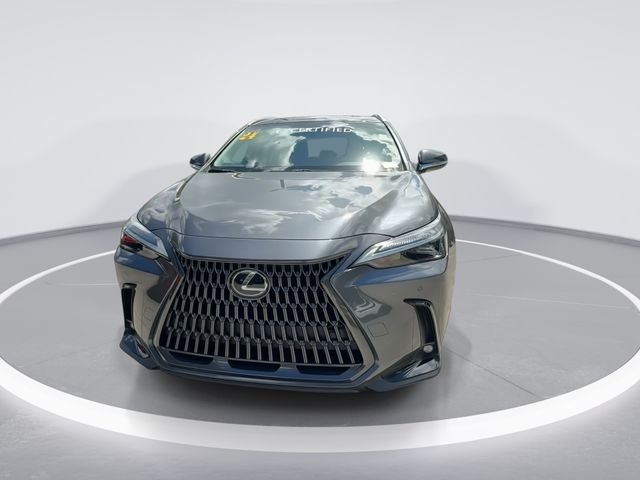 2024 Lexus NX - $38,898