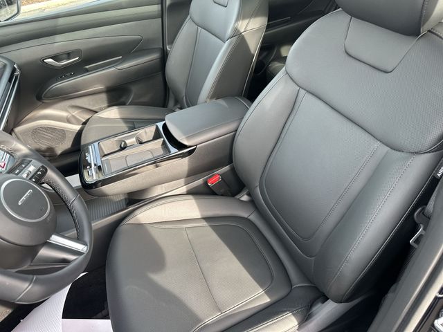 Certified Used 2025 Blue Hyundai SEL Convenience image 15