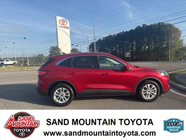 Red 2020 Ford Escape SE FWD SUV / Crossover Front-Wheel Drive 8-Speed Automatic