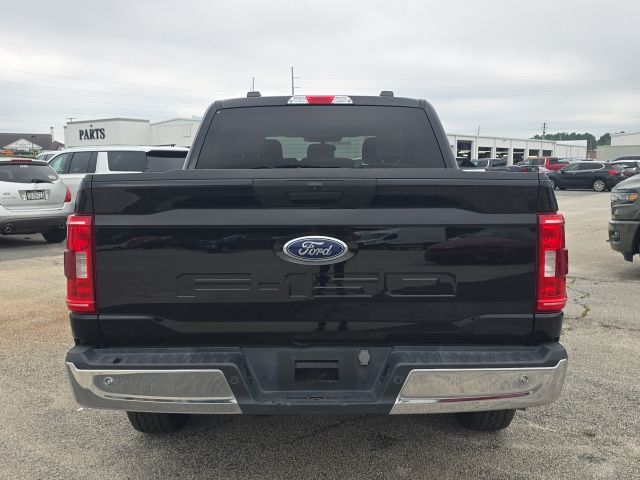 2023 Ford F-150 XLT:B02535