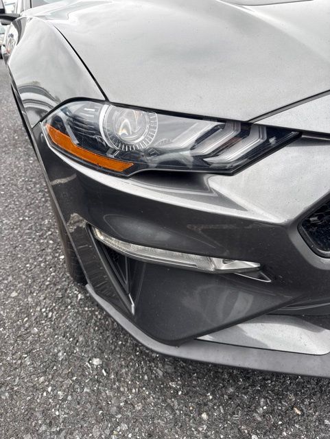 2019 Ford Mustang GT Gray at Grove City Ford
