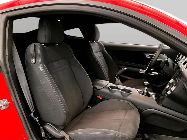 2019 Ford Mustang GT Red at Grove City Ford