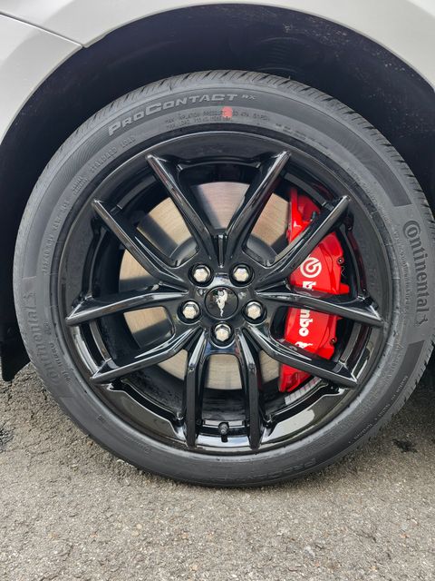 New 2026 White Ford GT image 10